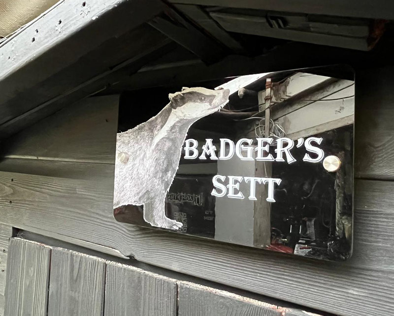 Badgers Set